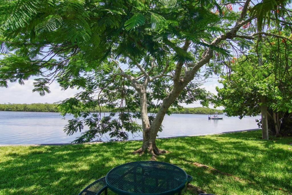 Little Harbor Resort #507 Tampa Bay Fl Beach, Riverview Romance ラスキン エクステリア 写真